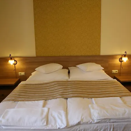 Hotel Baranya 3*